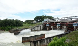 Đơn vị quản lý hồ Dầu Tiếng lý giải về việc tối thông báo, sáng xả lũ