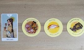 Tarot tuần này: Bạch Dương rủng rỉnh tiền bạc, Sư Tử có người thầm yêu?