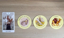 Tarot tuần này: Cự Giải chớ "dục tốc bất đạt", Xử Nữ cần tìm ra lối đi riêng