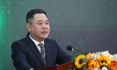 Việt Nam cần 700 tỷ USD vốn xanh, nguồn tiền ở đâu? 