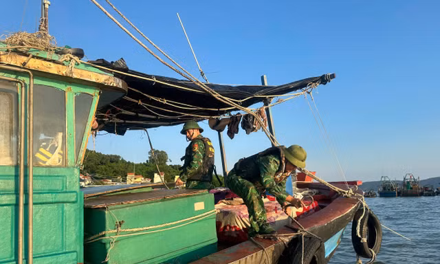 Quảng Ninh huy động hàng chục nghìn người, phương tiện ứng trực bão số 11