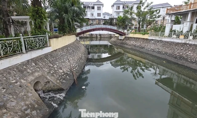 Cận cảnh ‘kênh khu nhà giàu’ ở Quảng Ninh ô nhiễm nặng