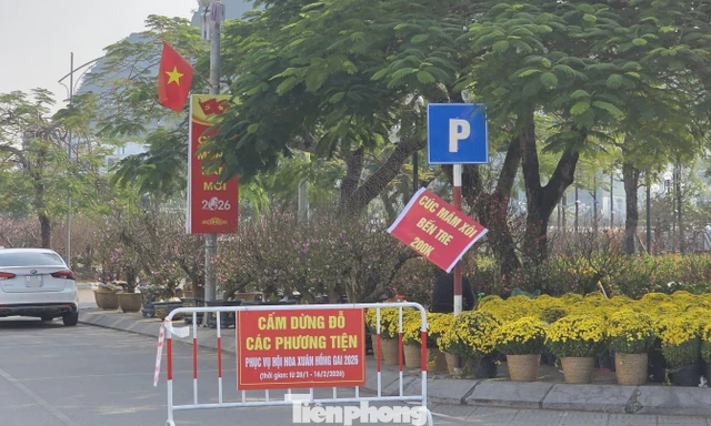 Quảng Ninh: Phường chia lô vỉa hè bán hoa, cấm ô tô để thu phí trái phép