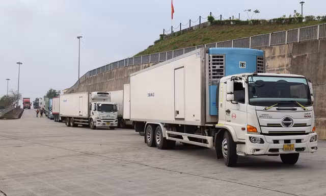 Hàng hóa qua cửa khẩu Quảng Ninh tăng mạnh 