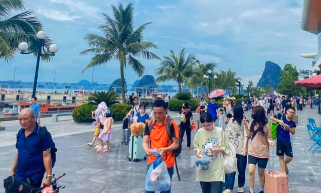Lý do tàu cao tốc Vân Đồn, Cô Tô tăng giá, cắt chuyến 