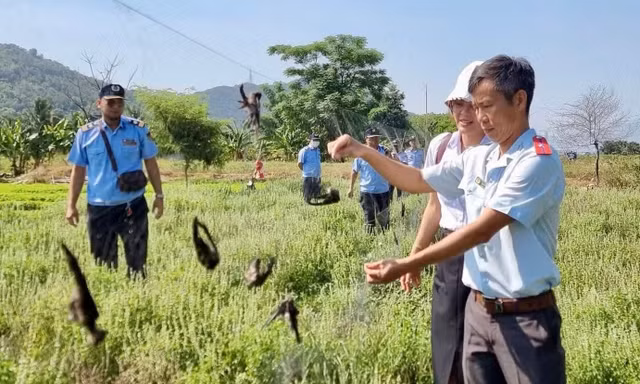 Khánh Hòa 'siết' nạn mua bán động vật hoang dã trên không gian mạng