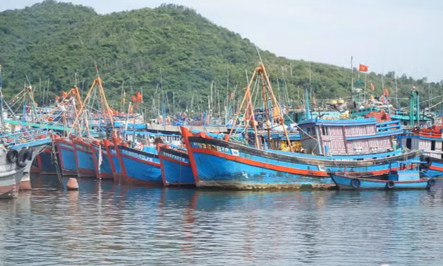 Tàu cá neo đậu tại cảng Hòn Rớ.