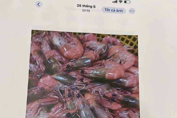 Thực phẩm không đạt được tổ bếp chụp lại. z7017688554158-93660ea5876ba7d71c54772d1b58a233-245.jpg