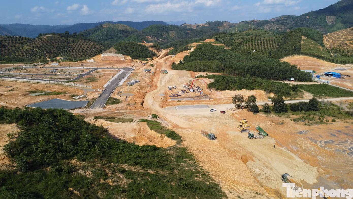 tp-br_dji-0066.jpg