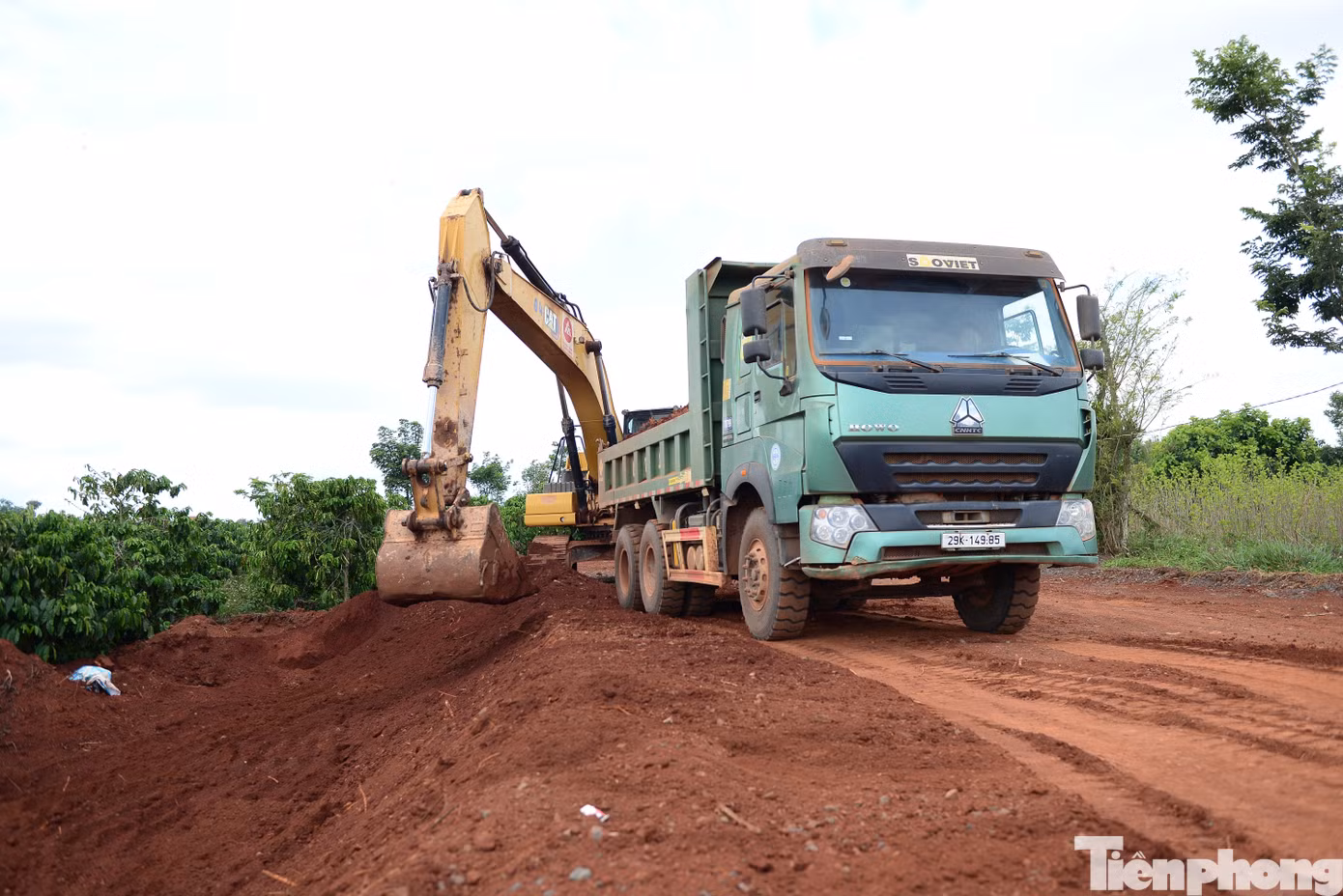 tp-br_dsc-7119.jpg