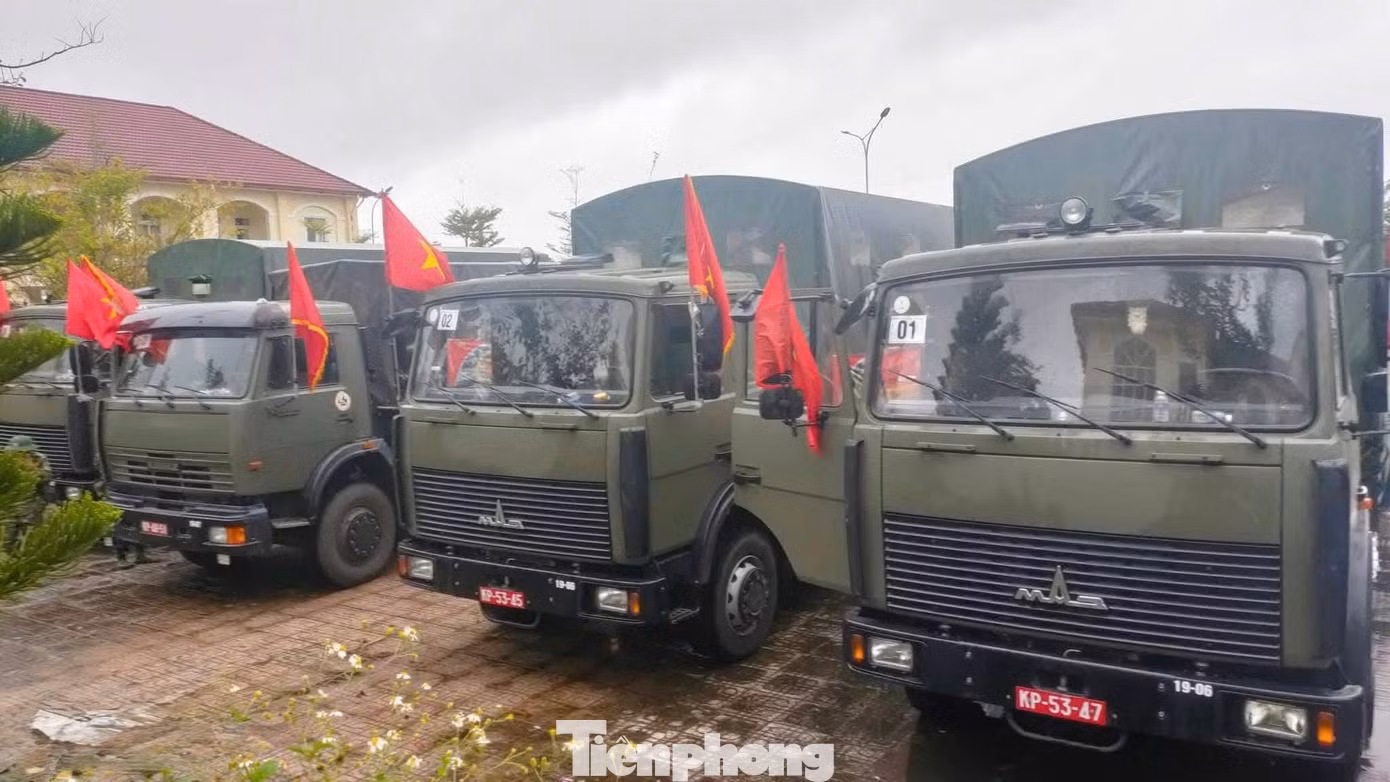 tp-2.jpg