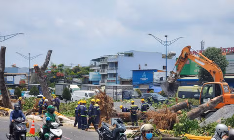 Di dời hàng trăm cây xanh mở đường ga ngầm metro số 2