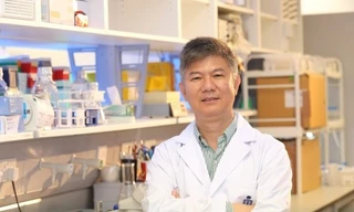 Cựu giáo sư trường danh tiếng hầu tòa vì nhận tiền “chạy” suất thạc sĩ