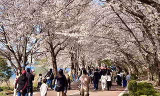 Xôn xao bài tập 'có một không hai' của giáo sư kỹ thuật khiến cộng đồng mạng dậy sóng