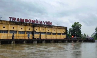 Ninh Bình vận hành 345 máy bơm cứu hơn 70.000 ha lúa bị ngập sâu