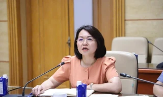 Cựu Cục trưởng Trần Việt Nga ‘ngâm hồ sơ’, buộc doanh nghiệp chi hơn 8 tỷ đồng