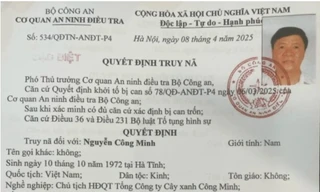 Đề nghị truy tố vắng mặt Chủ tịch HĐQT Công ty cây xanh Công Minh