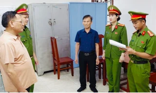 Bầu Đoan thu lợi bất chính 191 tỷ đồng từ 189 lô đất