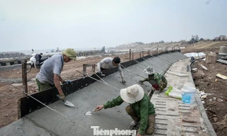 Chạy nước rút dự án 500 tỷ xử lý sạt lở đê biển ở Ninh Bình