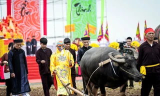 Hàng nghìn người xem Lễ hội Vua đi cày Đọi Sơn 