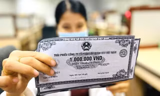 Thanh tra Chính phủ chuyển vi phạm trái phiếu của Tập đoàn Novaland sang Bộ Công an