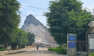 Phát hiện doanh nghiệp xây lò nung vôi trái phép trên gần 13.000 m2 đất lúa 