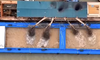 Người dân nơm nớp lo sông Hồng 'nuốt chửng' ruộng vườn 