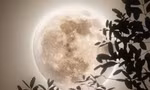 Trăng Non Song Tử ngày 15/6: Vũ trụ gửi bạn một "trang giấy trắng" để viết ra điều ước