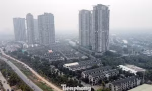 Cảnh bỏ hoang tại dự án biệt thự, liền kề từng ‘xây chui, bán sai’