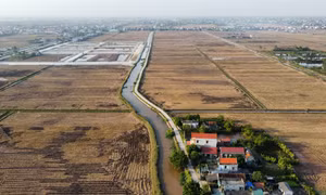 Bỏ cọc hàng loạt sau 'sốt' đấu giá đất vùng quê