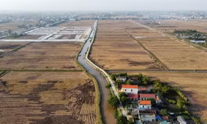 Đề xuất nâng mức đặt cọc đấu giá tối thiểu lên 20%: Kỳ vọng chặn 'cò' thổi giá đất