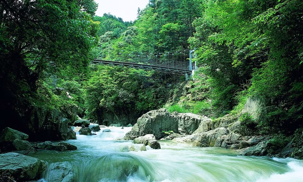 Lịch trình hai ngày theo những nhịp cầu từ Hiroshima đến Ehime