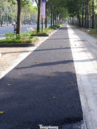 Diện mạo làn xe đạp đầu tiên ở TPHCM sau 2 tháng thi công 