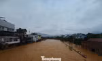 Lực lượng chức năng Cao Bằng đưa người dân đến nơi an toàn. 