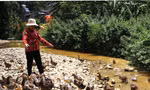 Phụ nữ Lạng Sơn thành công với mô hình phát triển cây đặc sản địa phương. Ảnh: Duy Chiến