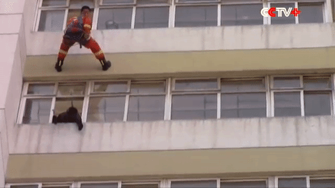 Lính cứu hỏa tung cước đạp bay cô gái định nhảy lầu tự tử