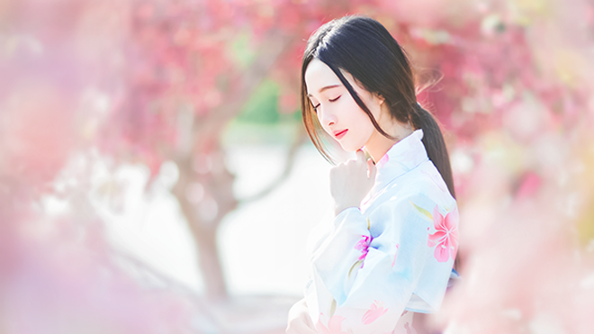 Thiếu nữ Sài Gòn đẹp như tranh vẽ bên hoa anh đào