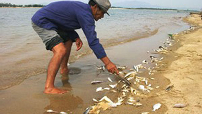 Thủ tướng yêu cầu không được để dân thiếu đói do phải ngừng đánh bắt hải sản