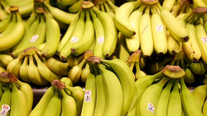 Dịch bệnh đang đe dọa ngành chuối toàn cầu. Ảnh: Pri