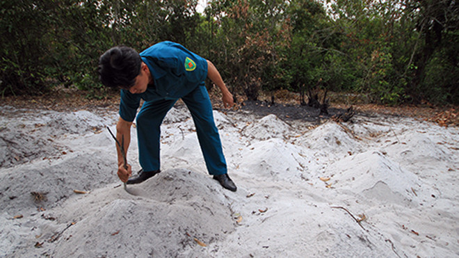 Những ngôi mộ xuất hiện sau khi quy hoạch khu rừng được công bố. Ảnh: Nguyễn Đông.