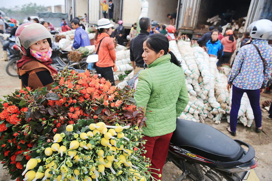 Thủ phủ hoa lớn nhất miền Bắc đông nghịt dân buôn ngày cận Tết