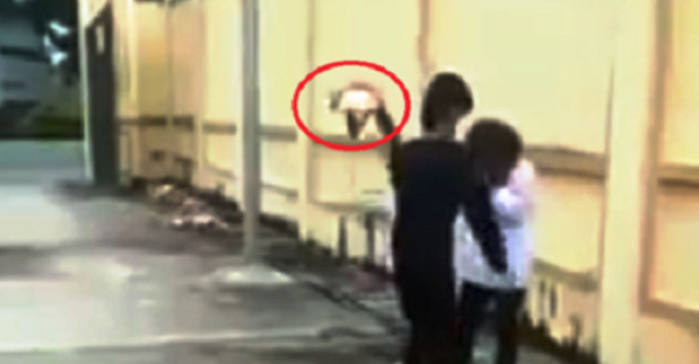 Công an điều tra nữ sinh bị đánh bằng mũ bảo hiểm