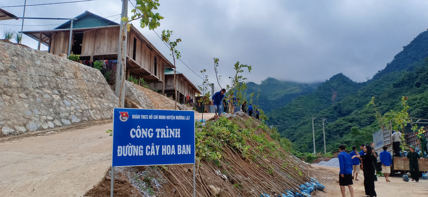 Trung ương Đoàn hỗ trợ trồng 600 cây hoa ban tại huyện Mường Lát