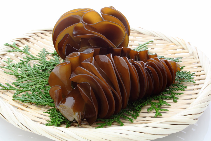 Chất nhờn từ tảo nâu hiệu quả giúp sức khỏe người bệnh ung thư được cải thiện tốt hơn