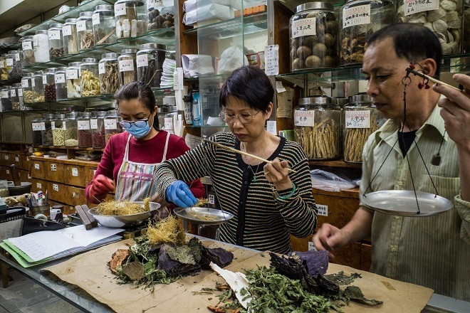 Kết hợp kim ngân hoa, cam thảo trong các bài thuốc nâng cao đề kháng