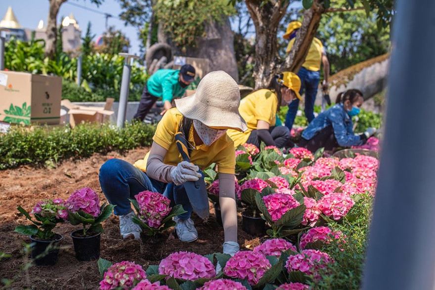 Biến nguy thành cơ và cách thức nhiều doanh nghiệp vượt bão Covid