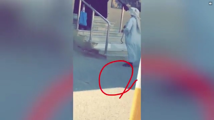 Khiếp đảm bảo vệ lấy gậy và rắn xua nữ sinh vào trường học 