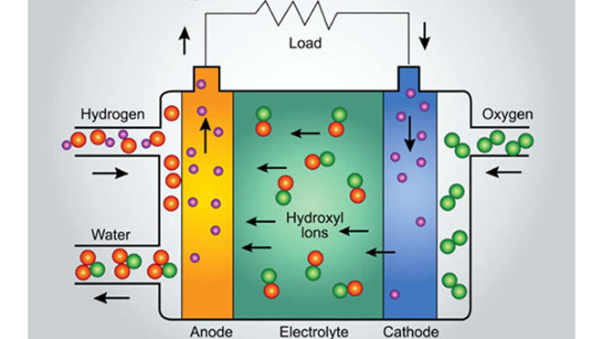 Pin điện thoại sẽ được sản xuất từ tảo biển?
