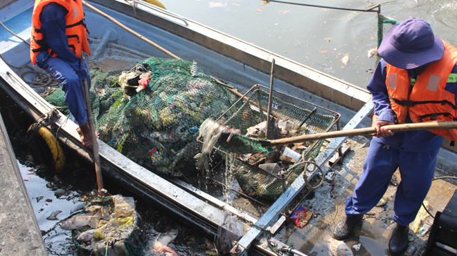 Các công nhân môi trường vớt cá chết trên kênh sáng 4/4