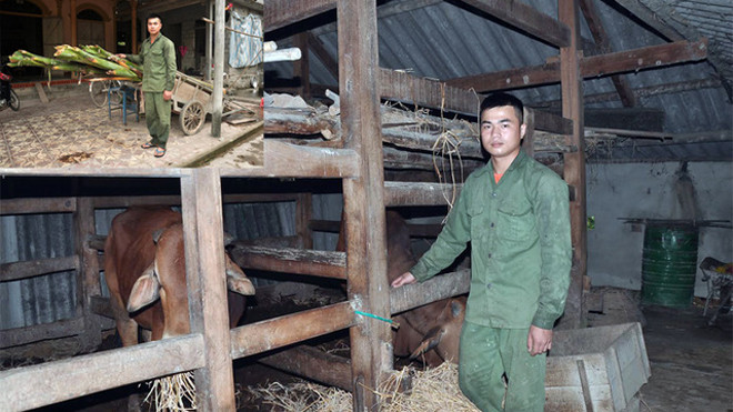 Mất đi hai bậc sinh thành, nhưng chàng trai Hồ Quốc Hạnh không gục ngã. Một mình em đã cáng đáng mọi công việc của bố mẹ để lại, nuôi bà và 3 đứa em có cái ăn, không phải bỏ học giữa chừng. Ảnh: Vũ Trọng Hoài.